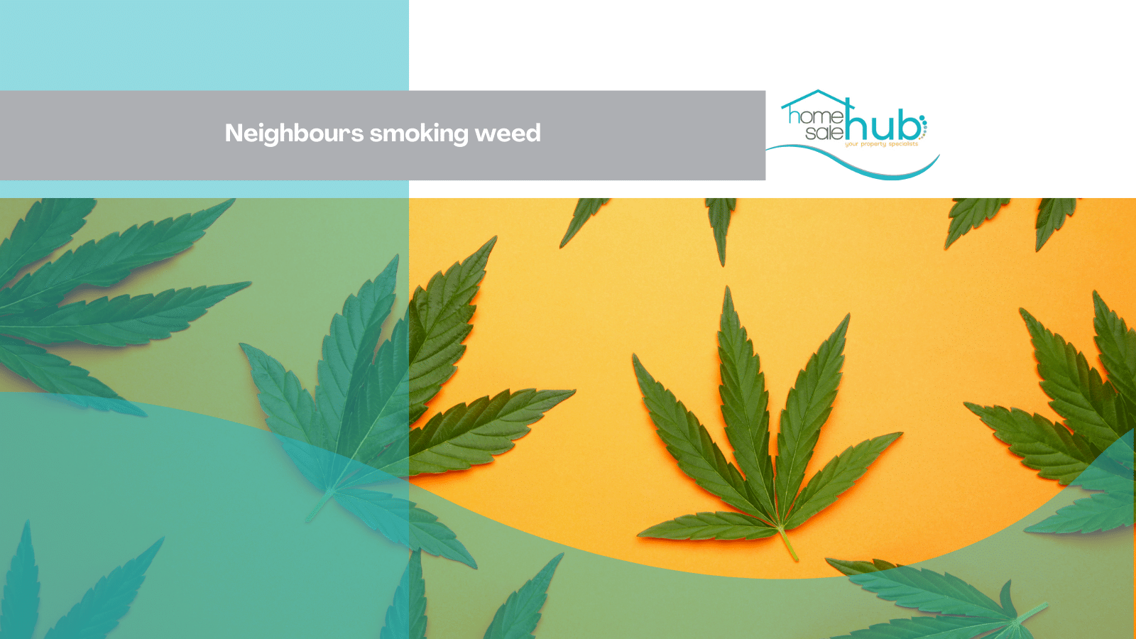 weed